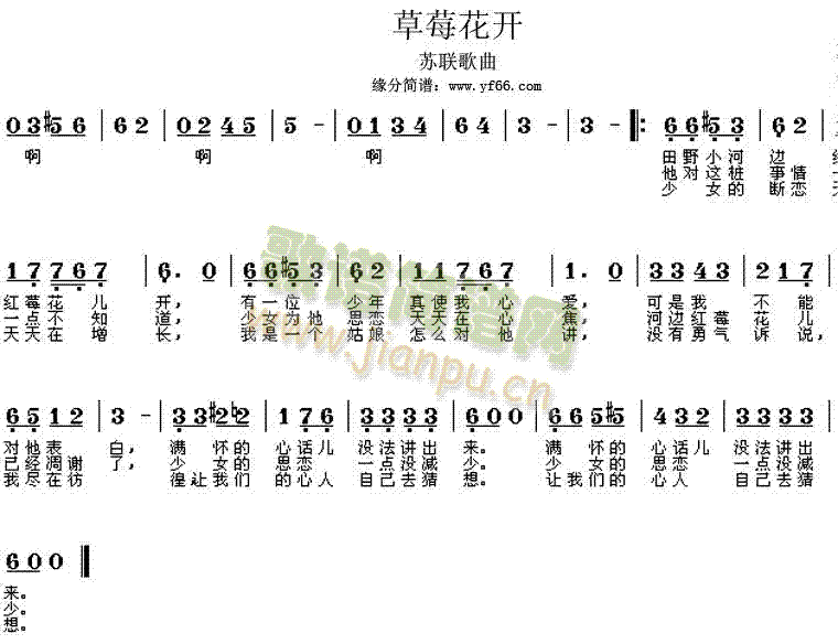 tݮ_(ki)(ָV)1